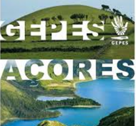 cartaz congresso gepes